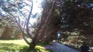 Из Ташкента на Иссыкуль Отпуск в Кыргызстане и Казахстане.