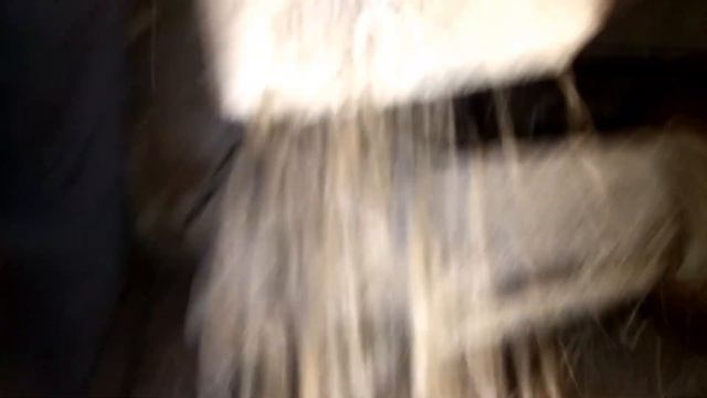 Гранулирую амарант как добавку в комбикорм. Что не продается, то не пропадет смотреть онлайн