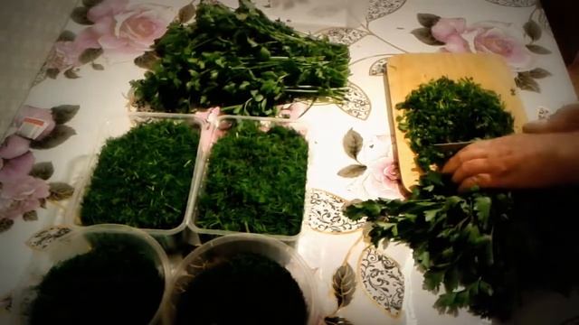 САМАЯ ЛУЧШАЯ ЗАМОРОЗКА ЗЕЛЕНИ И КАБАЧКОВ смотреть онлайн