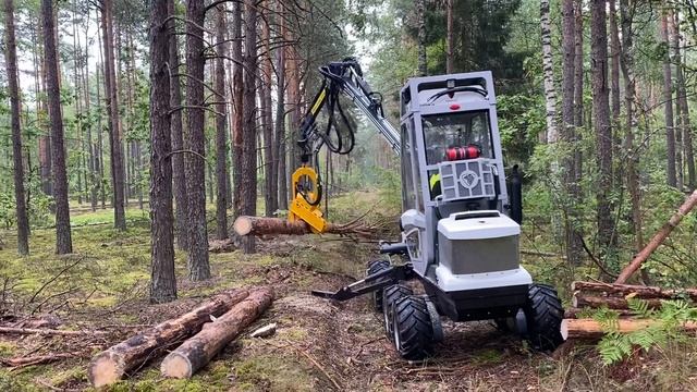 23 ноября 2020 г. смотреть онлайн