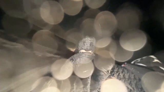 КОРЕШ И ПАРАДЕЕВИЧ КАТАЮТСЯ НА СНЕГОХОДАХ смотреть онлайн