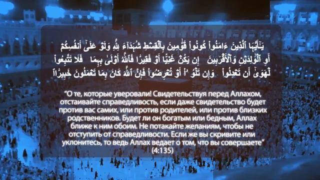 На входе Гарвардского Университета разместили аят из Корана. смотреть онлайн