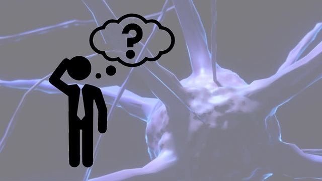 Как много информации может хранится в нашем мозге? | Plushkin смотреть онлайн