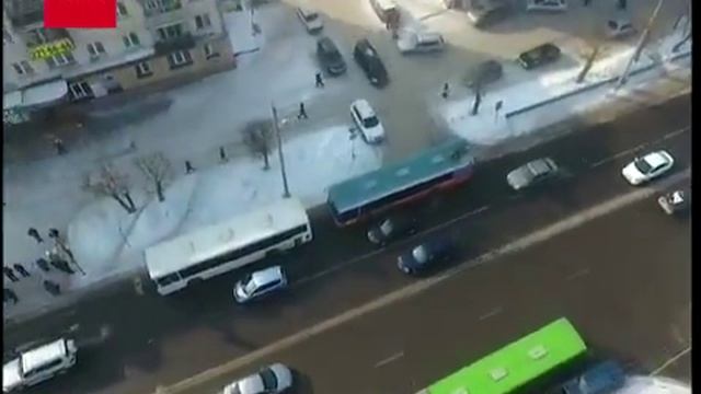 «Поймай вонючку»: 51 маршрут смотреть онлайн