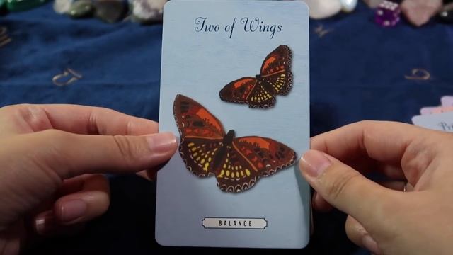 The Enchanted Love Tarot Unboxing & 1st Impressions | Deck Flip Through смотреть онлайн