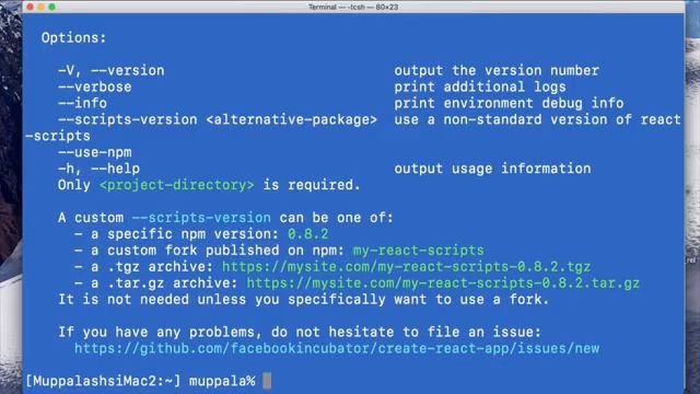 12. Exercise Video Getting Started with React смотреть онлайн