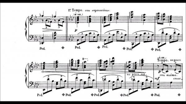 Edouard Chavagnat: Etude de Salon "Arpa", Op.138