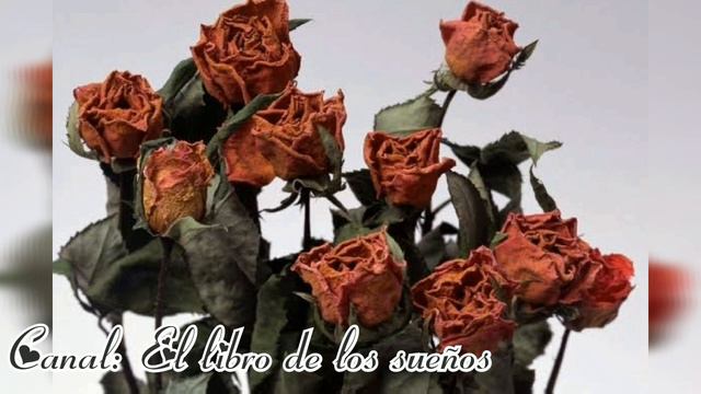 Soñar con flores смотреть онлайн