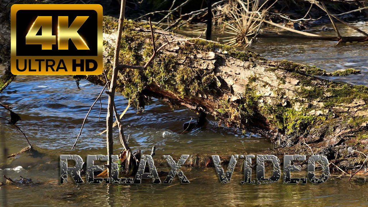 #весна2024 #4k #nature #4kvideo #river #naturelovers #природа_россии #riversounds #spring