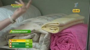 Одеяло для всей семьи   как выбрать недорогое и хорошее одеяло