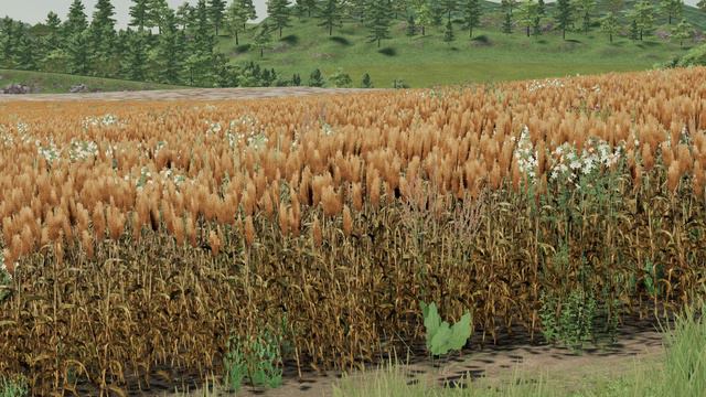 Let’s Talk About New Crop “ Sorghum” in Farming Simulator 23 Mobile Android iOS смотреть онлайн