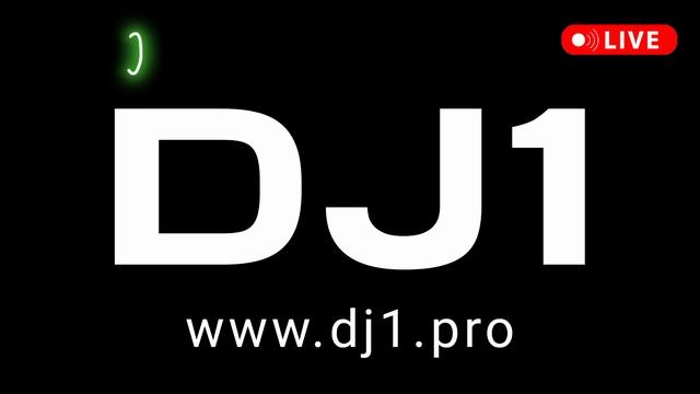 ТЕХНО ПЛЕНЭР 2024 музыкальные этюды диджей 1 DJ1