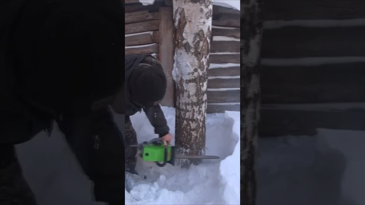 Распил мёрзлой берёзы. Мощная бензопила с 50см шиной REDVERG RD-GC62-20 смотреть онлайн