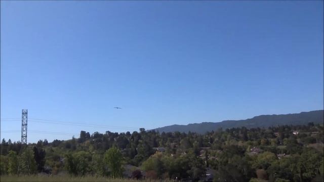 Swift - Mauersegler - maiden flight - Movie смотреть онлайн