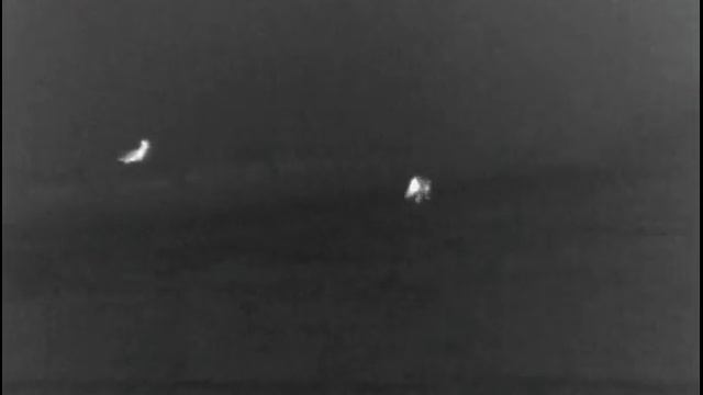 pulsar helion xq50f (dimma 60m) смотреть онлайн