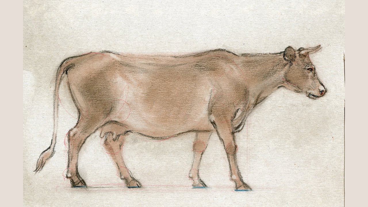 Простое рисование: корова. A simple drawing of a cow. смотреть онлайн