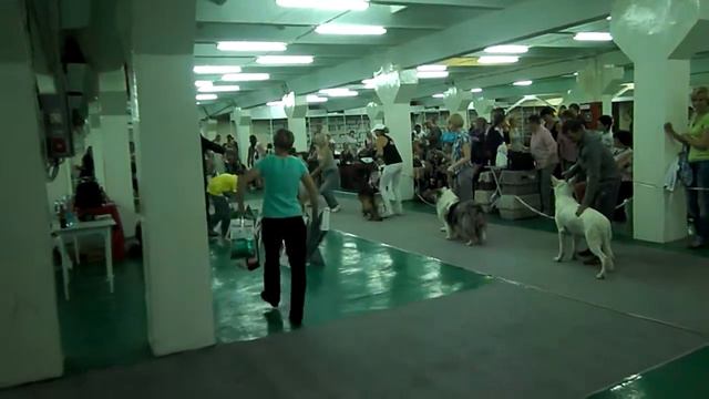 Бэст 1 группы ЧРКФ Новосибирск 19.08.12 смотреть онлайн