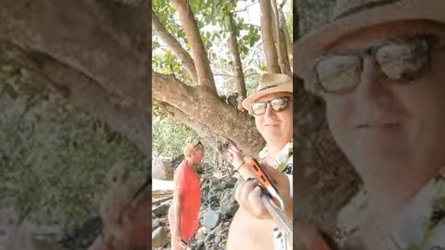 Первый Стрим из Тайланда. Пляж АО НАНГ.  КРАБИ.