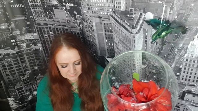 Птичка смотреть онлайн