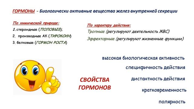 Регуляция функций организма человека 8 класс Биология смотреть онлайн