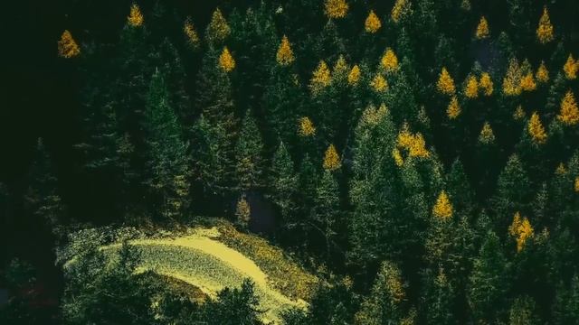 Мать привела домой бомжиху и для сына "Вот тебе жена!". То, что случилось дальше поразило смотреть онлайн