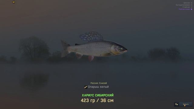 Fisher online|л. Енисей | Плотва смотреть онлайн
