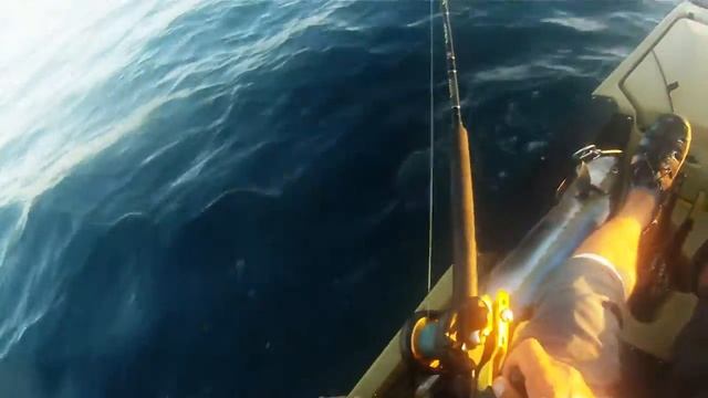 7/25/15 Kayak Fishing Socal (La Jolla) Yellow Tail смотреть онлайн
