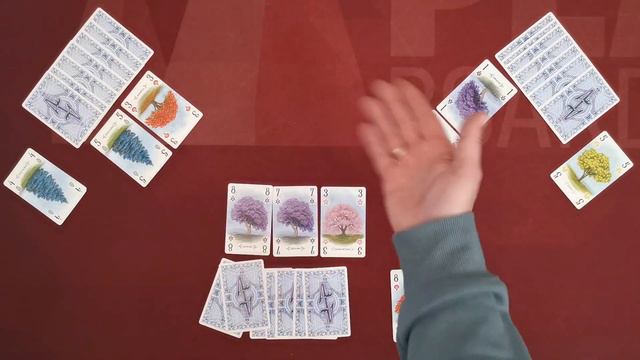 How To Play Arboretum Board Game - Full Teach - Peaky Boardgamer