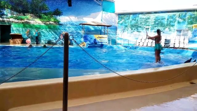Анапский дельфинарий 04.09.2018 смотреть онлайн