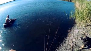 ✅Как с помощью волокуши ловить раков в любое время года.