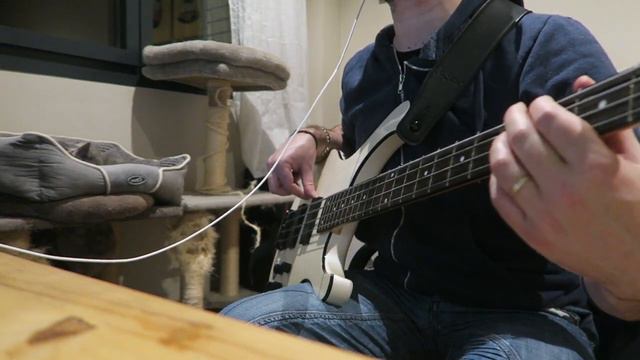JINJER - Perennial (bass cover) смотреть онлайн