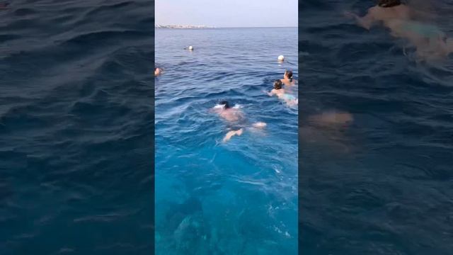 Один день из отпуска тренера! смотреть онлайн