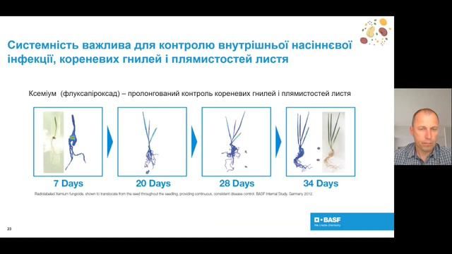 Протруювання насіння у деталях. Розкриваємо тему разом із експертом BASF Павлом Материнським смотреть онлайн