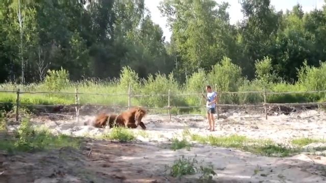 Приехали! смотреть онлайн
