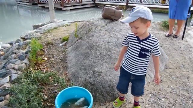 VLOG: Утро с Пеппой / Наловили сами рыбу / Рыбный ужин смотреть онлайн