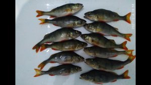 Рыбалка. Таватуй 04,12,2021