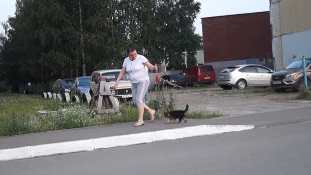 мира 5 месяцев смотреть онлайн
