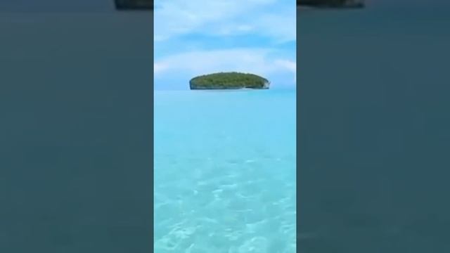 МЕДИТАЦИЯ «ПРОЩЕНИЕ ПАПЫ» смотреть онлайн