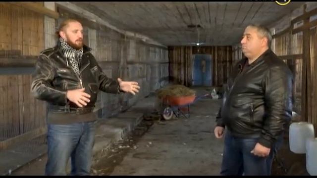 19.12.16 «Своя ферма». Страусы смотреть онлайн