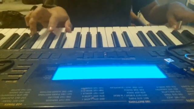 Ambiguity & Imagination (Piano WIP) смотреть онлайн