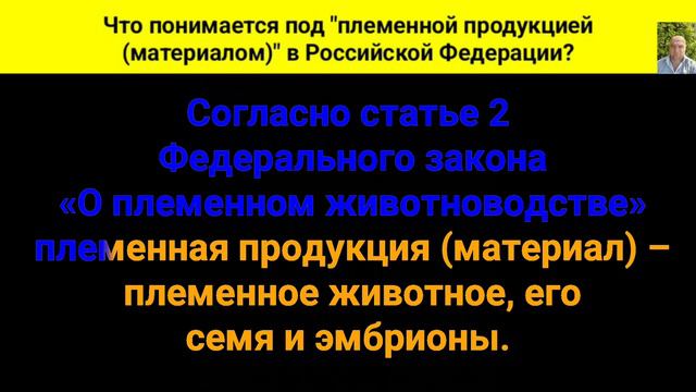 Что понимается под 