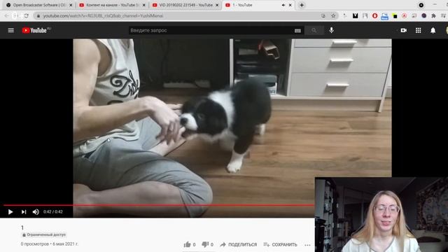 Разбор ошибок в дрессировке с бордер-колли Шанти через трюк "Кувырок" смотреть онлайн
