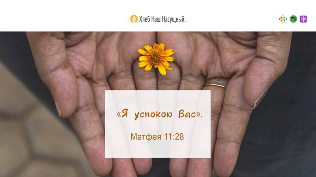 Если вы устали | Ежедневное христианское чтение | 29   августа 2023