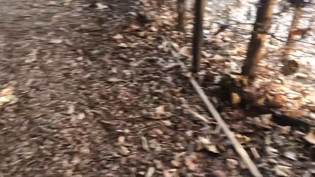 2 января 2023 г. смотреть онлайн