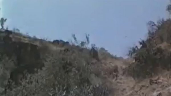 Гравитолет.