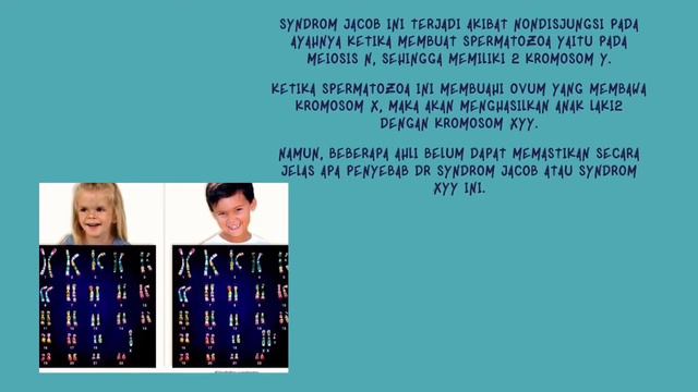 Tugas kelompok biologi “sindrom jacob” смотреть онлайн
