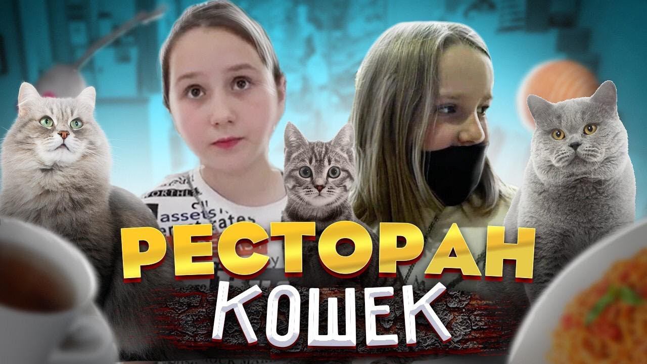 КОТОКАФЕ В КИТАЕ РЕСТОРАН КОШЕК смотреть онлайн