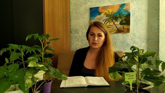 PH ПОЧВЫ! ОПРЕДЕЛЯЕМ КИСЛОТНОСТЬ ПОЧВЫ ТОЧНО И ЛЕГКО!ПОЧЕМУ ОНА ТАК СИЛЬНО ВЛИЯЕТ НА УРОЖАЙНОСТЬ! смотреть онлайн