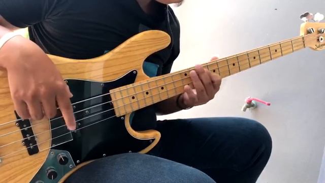 Dua Lipa - Levitating [Bass Cover] Sadowsky metro line mv4 смотреть онлайн
