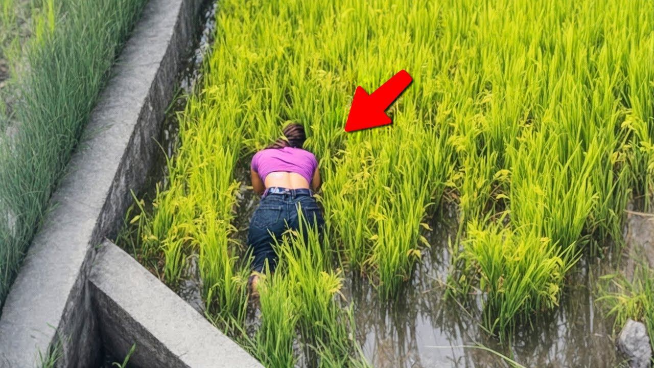 Камера Засняла Момент, Который Не Может Остаться Незамеченным смотреть онлайн